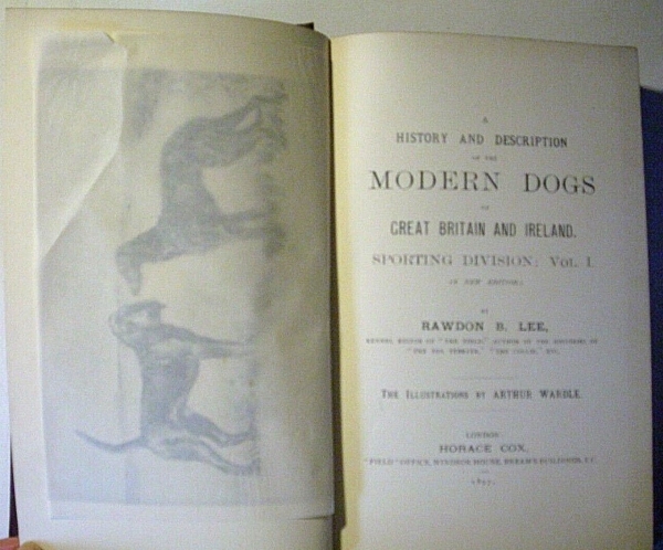 Modern Dogs (Sporting Division) New Edition - Vol. I. von Rawdon B. Lee (1897)
